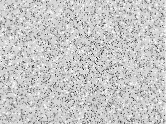 AD_Chip_SWF_Diamond_Silver