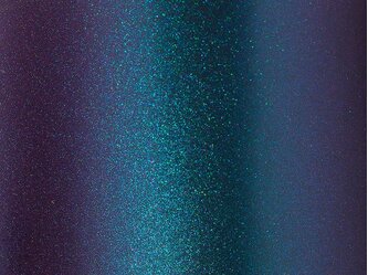 AD_Chip_SWF_CF_Lig_Rid_Green_Purple