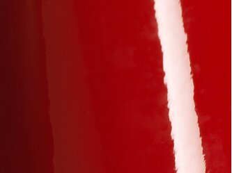 AD_Chip_SWF_Gl_Burgundy