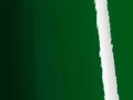 AD_Chip_SWF_Gl_Dark_Green