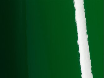 AD_Chip_SWF_Gl_Dark_Green