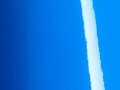 AD_Chip_SWF_Gl_Intense_Blue