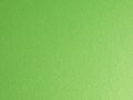 AD_Chip_SWF_Pearl_Light_Green