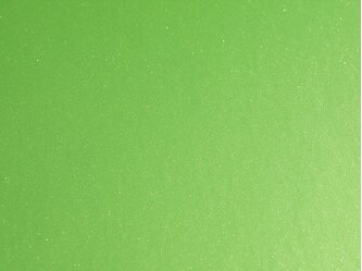AD_Chip_SWF_Pearl_Light_Green