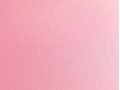 AD_Chip_SWF_Pearl_Tutu_Pink