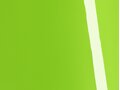 AD_Chip_SWF_Gloss_Tropical_Vacation_Green
