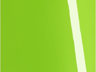 AD_Chip_SWF_Gloss_Tropical_Vacation_Green