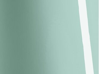 AD_Chip_SWF_Gloss_Smooth_Sage