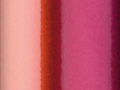 OR_Chip_970RA-320G_cranberry