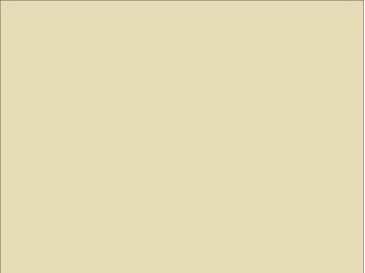 OR_Chip_970RA-809G_taxibeige