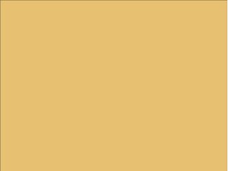 OR_Chip_970RA-995G_divine_gold