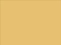 OR_Chip_970RA-995M_divine_gold