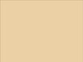 OR_Chip_970RA-996M_champagne_myst