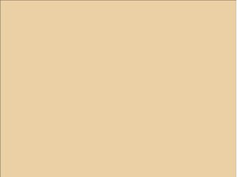 OR_Chip_970RA-996M_champagne_myst