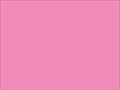 OR_Chip_970RA-045G_soft_pink