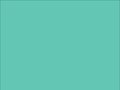 OR_Chip_970RA-055M_mint