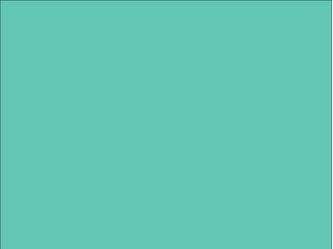 OR_Chip_970RA-055M_mint
