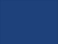 OR_Chip_970RA-067G_blue