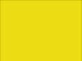 OR_Chip_970RA-201G_crocus_yellow
