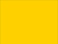 OR_Chip_970RA-216G_traffic_yellow