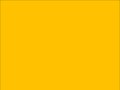 OR_Chip_970RA-256G_cargo_yellow