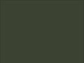 OR_Chip_970RA-285G_nato_olive
