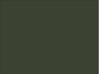 OR_Chip_970RA-285G_nato_olive