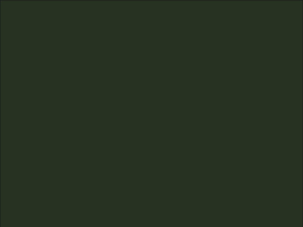 OR_Chip_970RA-286G_bottle_green