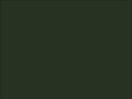 OR_Chip_970RA-286G_bottle_green