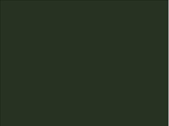 OR_Chip_970RA-286G_bottle_green