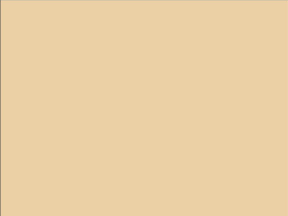 OR_Chip_970RA-313M_copper_kiss