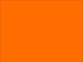 OR_Chip_970RA-351G_municipal_orange