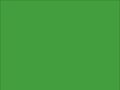 OR_Chip_970RA-486G_tree_green