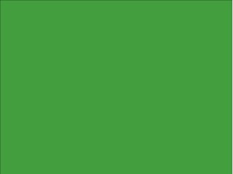 OR_Chip_970RA-486G_tree_green