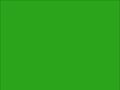 OR_Chip_970RA-602G_grass_green
