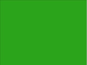 OR_Chip_970RA-602G_grass_green