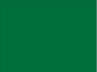 OR_Chip_970RA-612G_police_green