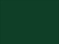 OR_Chip_970RA-622G_fir_tree_green