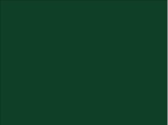 OR_Chip_970RA-622G_fir_tree_green