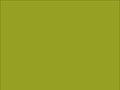 OR_Chip_970RA-688G_algae_green