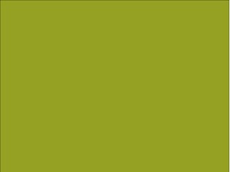 OR_Chip_970RA-688G_algae_green
