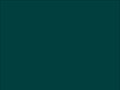 OR_Chip_970RA-689G_juniper