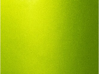 OR_Chip_970RA-173G_citrus_fury