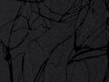 OR_Chip_975CO-070_black