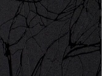 OR_Chip_975CO-070_black