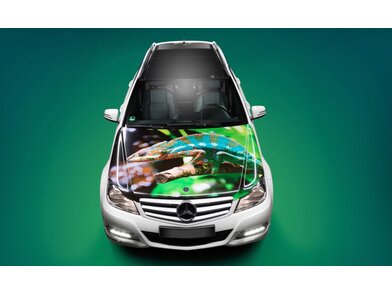 3M_PC_Envision_8048G