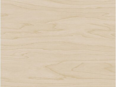 BQ_PC_W199-01-Optik