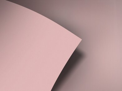 BQ_PC_S238-01-Optik
