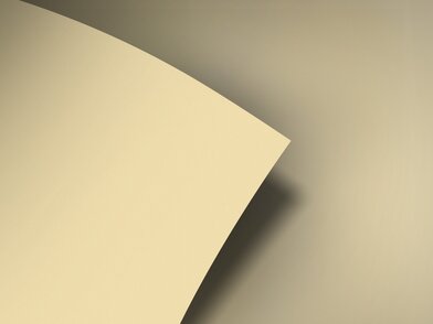 BQ_PC_S241-01-Optik
