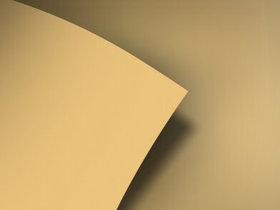 BQ_PC_S194-01-Optik